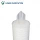 5 Inch Diameter Glass Fibre Pleated Filter Cartridge With 222 Fins