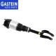 W166 1663202513 OEM Rear Air Shock Absorbers Without ADS