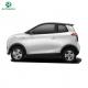 China Raysince New model 25KW motor 3 door electric car 4 Seat mini electric car for adult