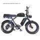 Custom 48V 1000W Electric Bike 20 Inch Fat Tire Ebike with and 52V Lithium Battery Charger