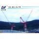 Mast Crane QTD125-5020 Model 10tons Load Luffing Jib Tower Crane 50m Height for Sale