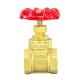 Gasoline Metal Gate Valve Oil And Gas 1 Inch 2 Inch 3 Inch 4 Inch