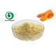 Vitamin D GMP Pumpkin Spice Protein Powder For Dietary Supplement
