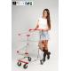 Two Layer baskets Grocery Shopping Trolley For Ladies With PVC , PU , TPR Wheel