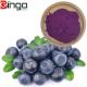 Low Calories Antioxidant Anti-Aging Anti-Cancer Organic Freeze Dried Blueberry Powder