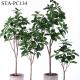 Low - Maintance Artificial Rubber Tree Evergreen Plant Modern Lifestyle