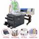 2 or 4 Head Hot Peel PET Film Printer DTF Printer Large Conveyor Belt Powder Shaking Machine For Heat Transfer Tshirt