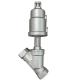 Water Industrial Usage Thread Angle Seat Valve with End Connection NPT/BSPT/BSPP