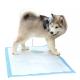 Pet Potty Training Pads For Dogs Disposable Pet Urinal Pad with Dry Surface Absorbency