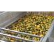 High Effective Small Scale Mango Processing Plant  High Extracting Rate