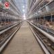 H Type Galvanized Layer Chicken Cage 9 Layers / Cell