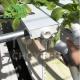 Intelligent Vertical Hydroponic System Aeroponic Tower Zip Channel