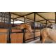 Black Powder Coated Bamboo Pine Q235 Horse Stall Fronts