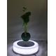 led light magnetic floating levitate bottom air bonsai tree potted for gift