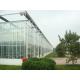 Exquisite Aluminum Frame Glass Greenhouse Gutter Height 3.0m-6.0m Easy Assemble