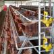 4 Tiers Hens Battery Cage Price In Nigeria , 5 Doors Chicken Layer Cage Rose