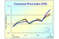Consumer Price Index (CPI) Increased Slightly in January