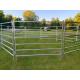 10FT Heavy Duty Portable Cattle Yard Panel Fence Livestock Panels