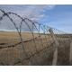 Galvanized Security Fencing Concertina Price Anti Climb Blade Barbed Wire Prison Razor Barbed Wire