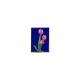 LQ042T5DZ13K LCD Module High Contrast ratio 4.2 inch TFT LCD display