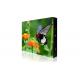 1920Hz P10 Outdoor Fixed LED Display Front Back Maintenance Easy To Install