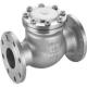 DN300 PN16 ANSI150 DIN PN16 WCB DI SS Stainless Steel Swing Type Check Valve