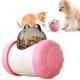 Tumbler Puzzle Slow Food Leaky Football 1kg Pet Dog Toy Without Electric