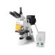 7146Y Fluorescence microscope China Manufacturer