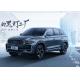 2024 Xingyue L Gasoline 5 Seat Off Road Vehicle With Two Drives / Four Drives
