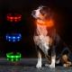 Waterproof Durable Rechargeable LED Dog Collar For Small Medium Large Dogs