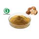 Health Care Pharmaceutical Shiitake Mushroom Extract 40% Polysaccharide