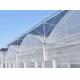 Economical Multi Span Greenhouse / Galvanized Steel Greenhouse High Wind Resistance