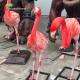 CE Customise Fiberglass Animal Statues Flamingo