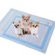 Eco Friendly Disposable Puppy Training Pads Leak Proof High Absorbency Pet Cat Pee Pad