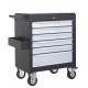 Industrial 6 Drawer 27 inch Roller Cabinet Coated with Black and White (THD-27061T)