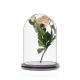 Preserved Rose Display Glass Homeware Cloche Cover with Black Wooden Base