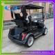 2 Seater Electric Car AC Motor Electric Golf Club Cart 48V Resort Cars For Hotel