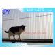 3CM Gap High Rise Protect Pets Invisible Grills For Home Balcony