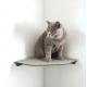 Steel Wall Cat Climbing Shelf with Copper Perches and Scratching Post Heavy Duty Bracket