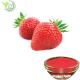 Water Soluble Organic Strawberry Fruit Powder Natural Food Grade Flavor