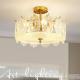 Elegant Luxury Home Modern Crystal Led Ceiling Light Indoor Restaurant Decor