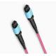 Optical Fiber FTTH Patch Cord Trunk Cable PVC Material Panel MPO Fiber Cable