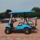 Raysince Latest model electric golf trolley 4 seats mini electric golf carts with CE certificate