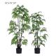 Stunning Artificial Fern Tree Realistic Timeless Beauty Color Change Leaves