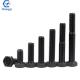 ISO9001 Certified M6-M36 M10 Black Hex Bolt nut washer 8.8 12.9 Grade with DIN Standard