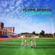 Outdoor Synthetic Turf Grass , Artificial Grass For Soccer Court OEM