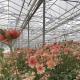 Double Layer Glass Greenhouse Canopy for Flowers 50.00cm * 60.00cm * 80.00cm Package Size