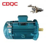 Professional Electric Industrial Induction Motor  Three Phase  Dyeing Ac Motor