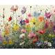 DIY Pre Drawn On Canvas Flower Drawing Colorful art canvas For Adults Beginner