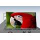 Outdoor P10 led commercial advertising display screen/Outdoor Waterproof Full Color P10 led display